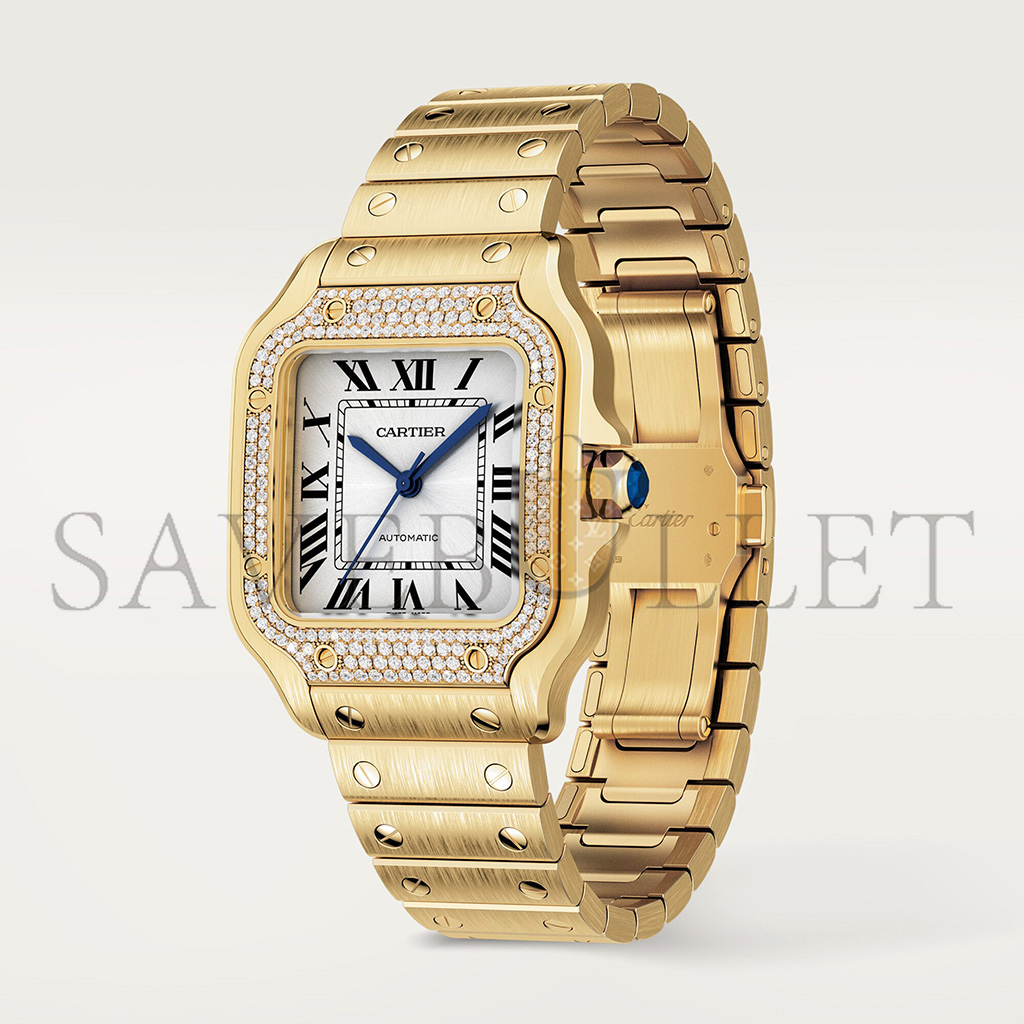 Ca*t*er santos de watch wjsa0010